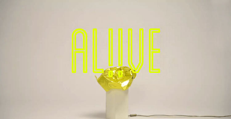 Снимок экрана 2017-05-20 в 18.31.07